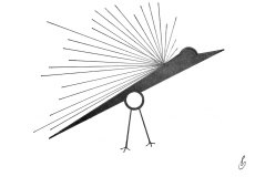 freedom_web