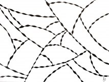 long-trance_web